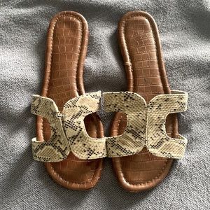 Report Snakeprint Ofelia slides